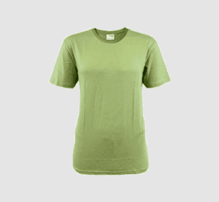 Solid Color Unisex T-Shirt